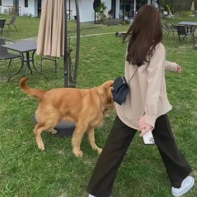 烈焰战场